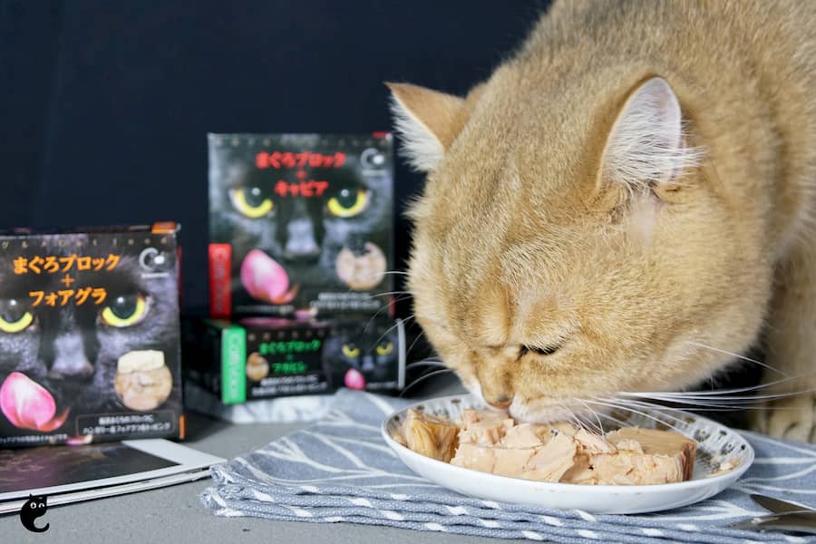 Cat's Voice Gourmet Wet Cat Food